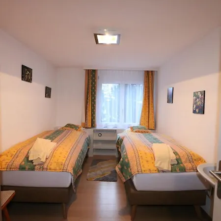 Daire Everest Saas Fee