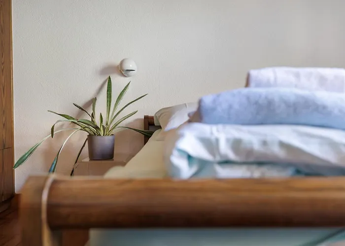 شقة ايفريست Saas Fee