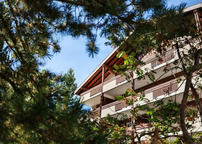 ايفريست Saas Fee